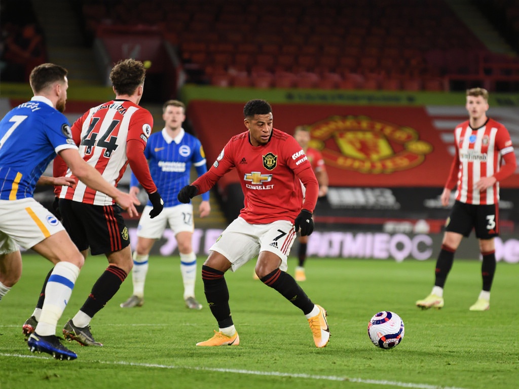 会时往往追 会时往往追